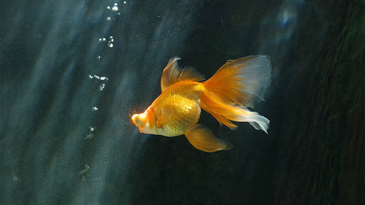 2025年ToDesk手机端下载与安装示意图解 二