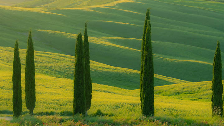 ToDesk下载电脑使用指南+最新版软件下载入口 二