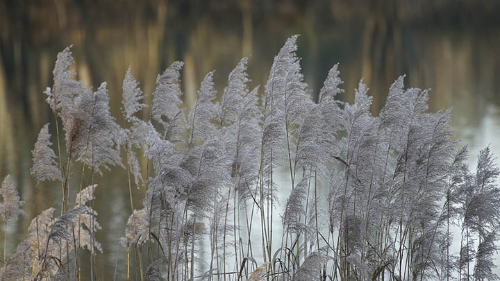 ToDesk下载教程大揭秘！如何快速获取并安装最新版本？ 二