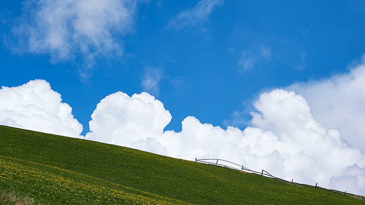 国内用户无法下载远程ToDesk？代理工具+国内镜像站三大解决方案 二