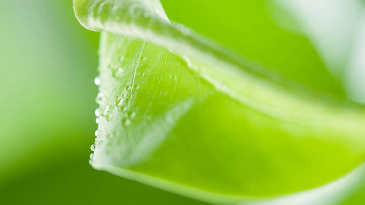 ToDesk下载如何进行？平板安装攻略详解 二