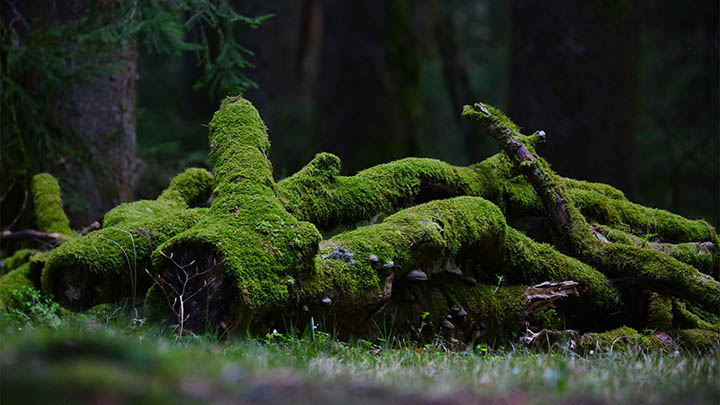 ToDesk下载怎样实现快速安全稳定？全流程解析避免卡顿/失败常见问题 二