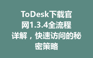 ToDesk下载官网1.3.4全流程详解，快速访问的秘密策略-ToDesk