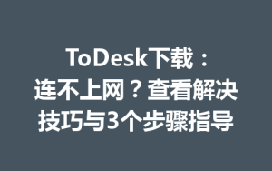 ToDesk下载：连不上网？查看解决技巧与3个步骤指导-ToDesk