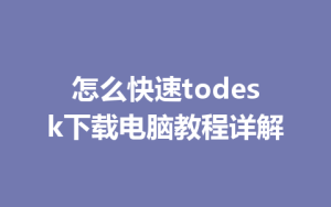 怎么快速todesk下载电脑教程详解-ToDesk