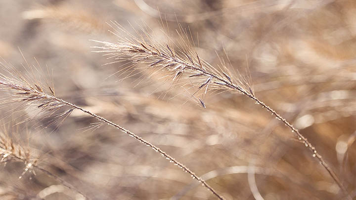 电脑ToDesk下载怎么操作？最新教程帮您快速上手 二