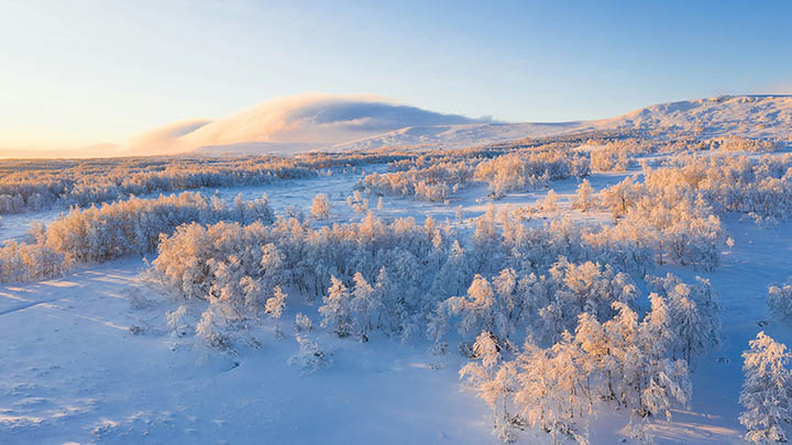 ToDesk下载控制端全流程详解:轻松掌握远程连接技窍门 二