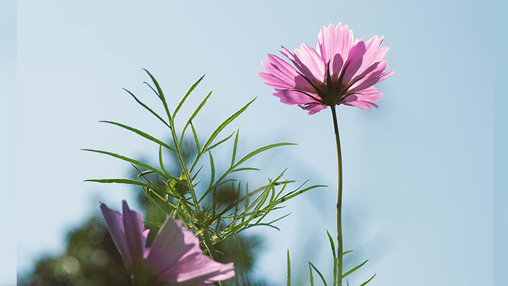 星卡ToDesk怎么下载?详细教程分享 二