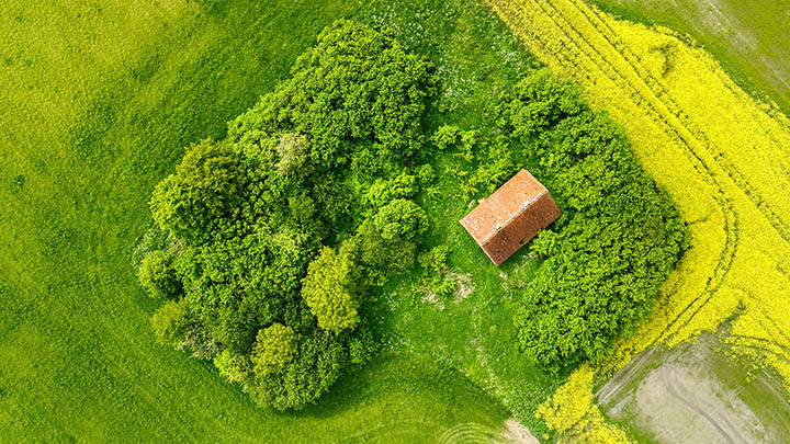 ToDesk如何下载文件?详细指南 二