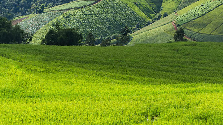 ToDesk下载官方链接：快速获取安装包教程 二