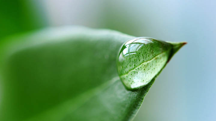 ToDesk下载无法正常运行？电脑端问题解决方案详解 二