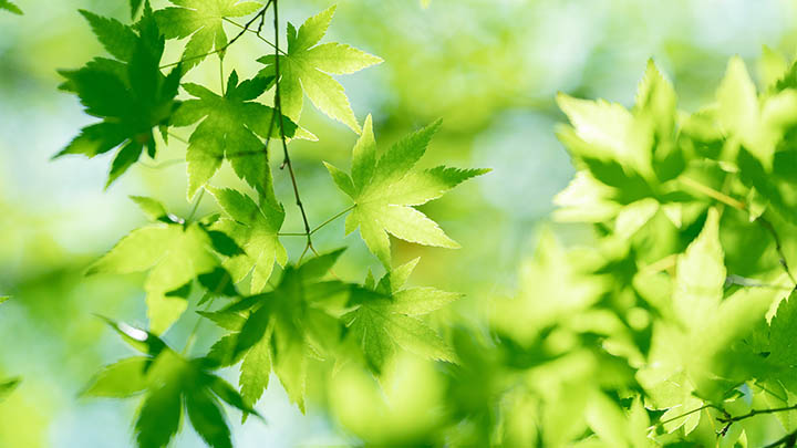 ToDesk下载是什么？功能详解与安装指南 二