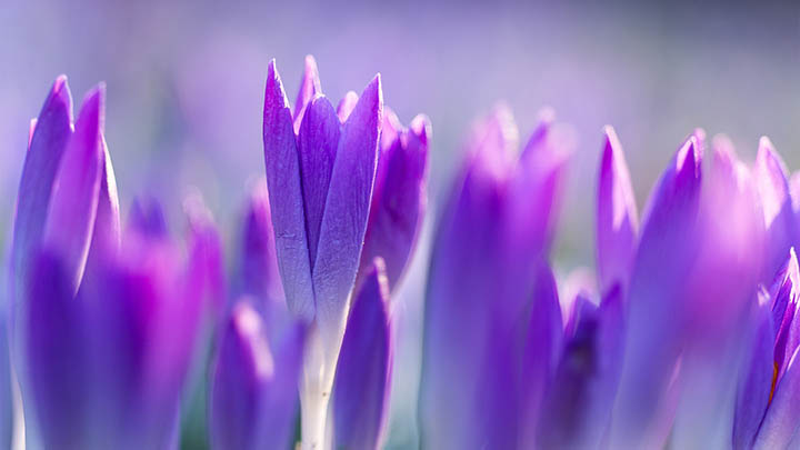 ToDesk下载苹果版安装失败?附解析包错误、闪退、卡顿完整解决指南 二