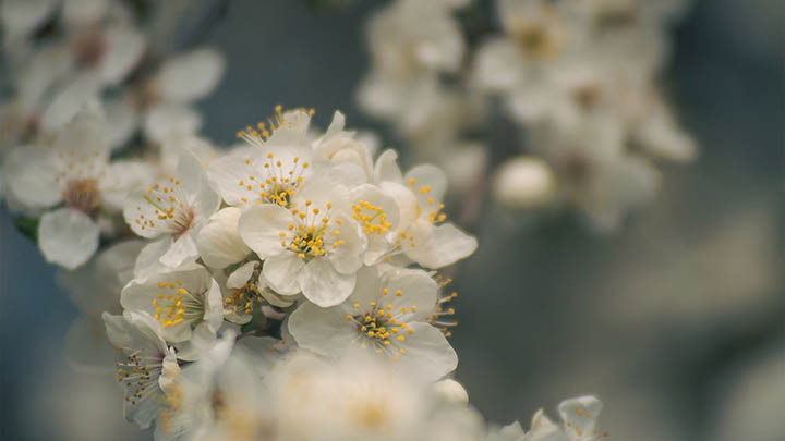 ToDesk下载在线指南：如何快速获取最新版？ 二