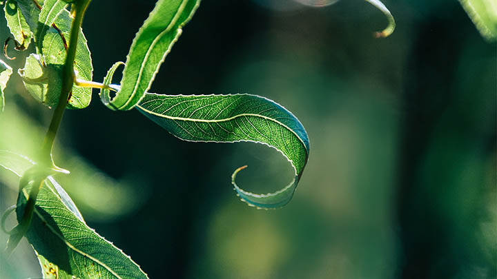 ToDesk客户端下载全解析：详细图文教程教你快速安装与使用 二