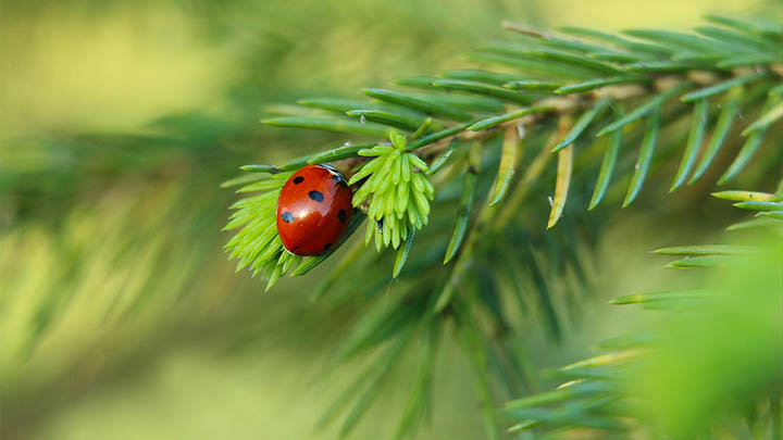 ToDesk下载电脑版4.0全新详解：功能亮点与安装教程 二