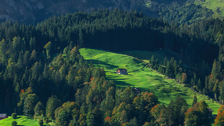 如何通过手机访问云电脑？ToDesk下载与设置技巧分享 二