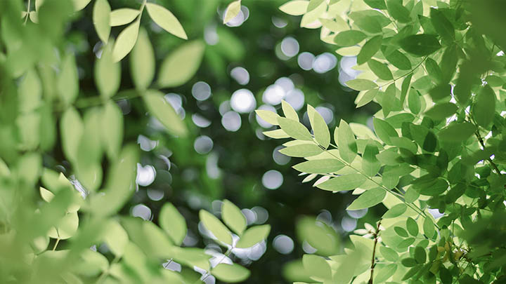 ToDesk下载个人版:高效轻松指南 二