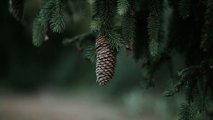 如何快速实现ToDesk下载客户端部署？全面解析下载与安装技巧 二