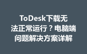 ToDesk下载无法正常运行？电脑端问题解决方案详解-ToDesk