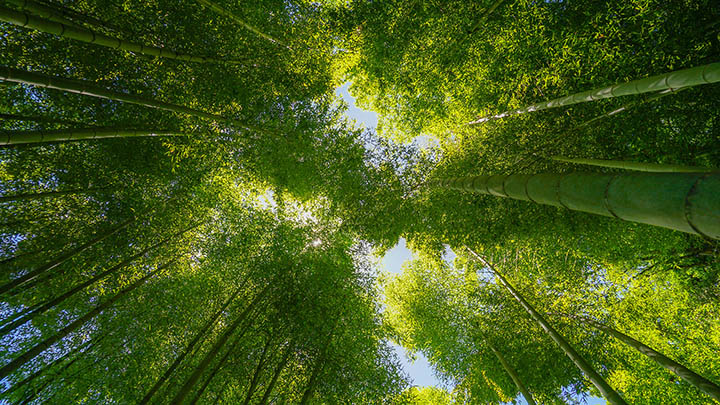 ToDesk下载控制端查找指南：快速定位你的远程桌面位置图文详解 二