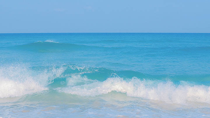 如何快速使用ToDesk下载软件？详细教学攻略 二